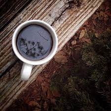 Elorablue Spotted This Reflection Of Pine Trees In My Coffee Coffee Cafe Coffee Photography I Love Coffee