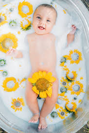 You can use freshly pumped breast milk or thawed breast milk. Cute Little Baby Boy Portrait In Milk Bath With Sunflowers Healthy Lifestyle Child In Summer Garden Nature Concept Stock Photo Picture And Royalty Free Image Image 139121342