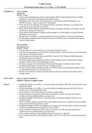 developer resume samples velvet jobs