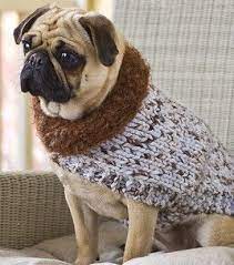My lovely pug frank is getting old and appears to have lost quite a lot of his coat and in the cooler weather feels a little chilly! 34 Pug Knits And Crochet Ideas In 2021 Pugs Dog Clothes Crochet