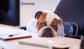 Boring Day Caption For Instagram Captionsgram