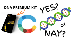 Already taken an ancestry dna test? Circle Dna Test How Why You Should Now Youtube