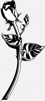 Maybe you would like to learn more about one of these? Mawar Hitam Menggambar Tato Mawar Putih Daun Cabang Png Pngwing