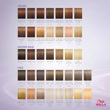 Discover blondor blonde hair color products from wella professionals. Wella Hair Color Chart Wella Hair Color Wella Illumina Color