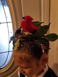 Bird With Crazy Hair On Head Crazy Hair Day Birds Nest Crazy Hair Crazy Hair Days Hair Day