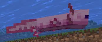 Where do you find axolotls in minecraft, and what do they look like? Minecraft 1 17 Java Edition Download