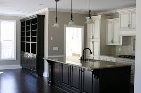 anew gray by sherwin williams with dark
