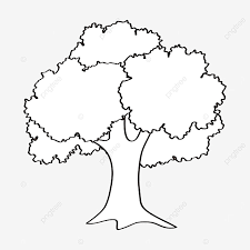 Setiap satu tangkai daun memegang 5 helai daunnya yang tirus, dengan daun berkilat di bahagian atas. Gambar Bahan Pokok Vektor Pokok Hitam Dan Putih Pokok Clipart Hitam Dan Putih Seni Klip Hitam Dan Putih Vektor Png Dan Vektor Untuk Muat Turun Percuma