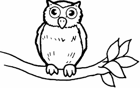 Jual kaos burung hantu, kaos owl. Image Result For Burung Hantu Hitam Putih Owl Coloring Pages Owl Pictures To Color Animal Coloring Pages