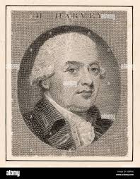 Sir harvey hi-res stock photography and images