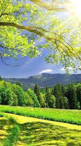 Full Screen Nature Wallpaper Hd For Mobile Download, share or upload your own one! full screen nature wallpaper hd for mobile