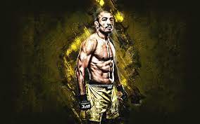 Jose aldo is set to unify the ufc featherweight title against max holloway. Download Wallpapers Jose Aldo Ufc Brazilian Fighter Mma Portrait Yellow Stone Background For Desktop Free Pictures For Desktop Free
