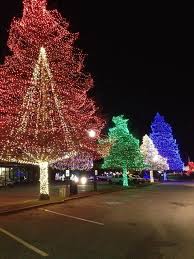 Swan Lakes Festival Of Lights Festival Lights Holiday Decor Trip