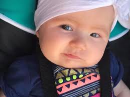 Fundraiser for Autumn Meadows by Casey Scheller : Chloes Fight