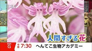 吹いた画像を貼るのだ 文系 この歯車動かねえだろｗ理系 動くよ 哲学ニュースnwk 野沢雅子 文系 理系