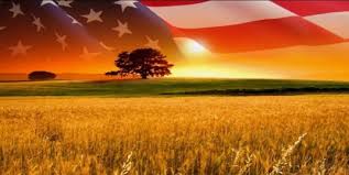 Image result for america the beautiful