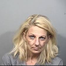 Police: Palm Bay woman passed out behind wheel, arrested