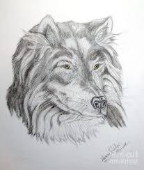 The huntsman drew off the wolf's skin and went home with it; Where Is Little Red Riding Hood Drawing By Nancy Rucker