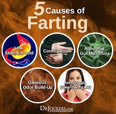 8 Ways To Reduce Gas And Farting For Good Drjockers Com Reduce Gas Gas Remedies Stomach Gas Remedies