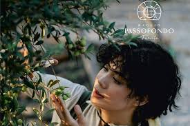 Walk in olive grove and Tasting