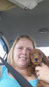 Third day with 9 week old Rosebar Poodle "Rikki"