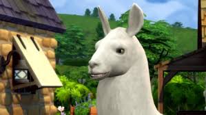 Sims 3, 37185 records found, first 100 of them are 65. 555n4nrfnrnpcm