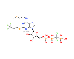 Image result for Cangrelor