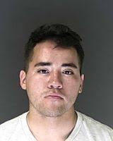 Colorado Springs man confesses to killing dog, authorities say