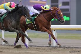 外では 木枯らし が吹いている。 (そと で は こがらし が ふいている。) R8jkzl8g7kdd5m