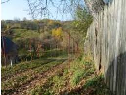 Vanzari Din Executari Silite Prahova Pag 2