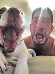 Sweet Petey Is Searching For His People