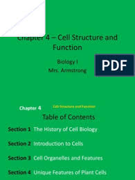 Plant cell biology structure and function pdf. Chapter 4 Cell Structure And Function Ehsweb Endoplasmic Reticulum Cell Biology