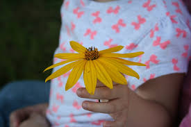 I i ever have a garden, i will put your two lips and my two lips together. Child Flower Gift Child S Free Photo On Pixabay