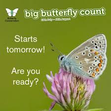 Tomorrow Is The Launch Of Our Big Butterflycount 2019 Join