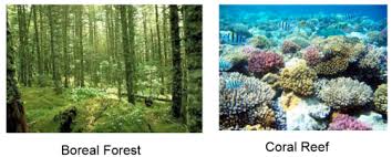 Biology 313 Lecture 11 12 Species Abundance And Diversity Flashcards Quizlet