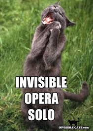 Kitty Opera Check Out Heart S Performing Arts An In Home Music Lesson Service In Minneapolis Links Www Funny Cat Compilation Funny Cat Memes Funny Cats