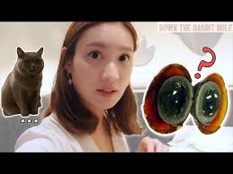 A day in downtown HK ft. THOUSAND-YEAR EGG