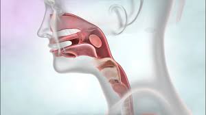 Mouth and throat cancers may look like open sores, growths, or discolored areas in the mouth. Throat Cancer Know Your Throat Cancer Research Uk Youtube