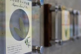 幸せのオリーブ 新しくなりマシタ オリーヴァー 瀬戸内しまラジ