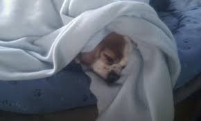 We are currently updating our hours on this page, please find your local centre to see sunday opening hours. Relaxing Sunday Waiting For Garages To Open Near Llanes Our Tour Motorhome Blog