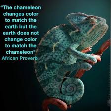 April 23, 2015 comments off on how do chameleons change color? African Proverb The Chameleon Changes Color To Match The Earth The Earth Doesn T Change Color To Match The Chameleon Nature Animals Animal Photography Cute Animals