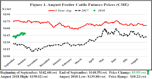 September Florida Cattle Market Price Watch Panhandle
