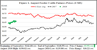 september florida cattle market price watch panhandle