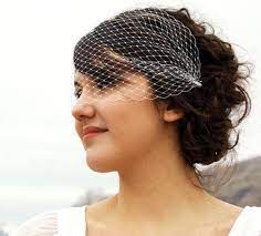 Birdcages Unveiled Birdcage Veil Wedding Birdcage Veil Wedding Hairstyles With Veil