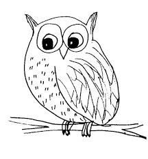 Owl Snow Owl Sketch Coloring Page Jpg Owl Sketch Owl Coloring Pages Snow Owl