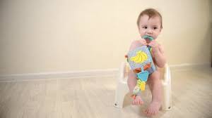 Best sellers in toilet training potties & seats. Baby Potty Training Stock Video Footage 4k And Hd Video Clips Shutterstock