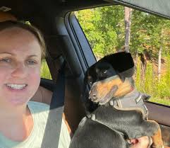 Hi all! I just wanted to introduce myself and share a photo I took