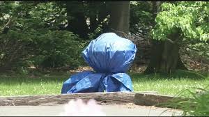 In 1852, massachusetts became the first state to pass compulsory education laws. Summer Fire Pit Safety Tips And State Regulations