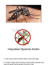 Secara asasnya nyamuk memerlukan makanan dan air untuk membiak. Kitar Nyamuk Aedes