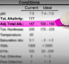 Testing for pool alkalinity is critical for ensuring your pool's water is optimally balanced. Maintaining Swimming Pool Alkalinity